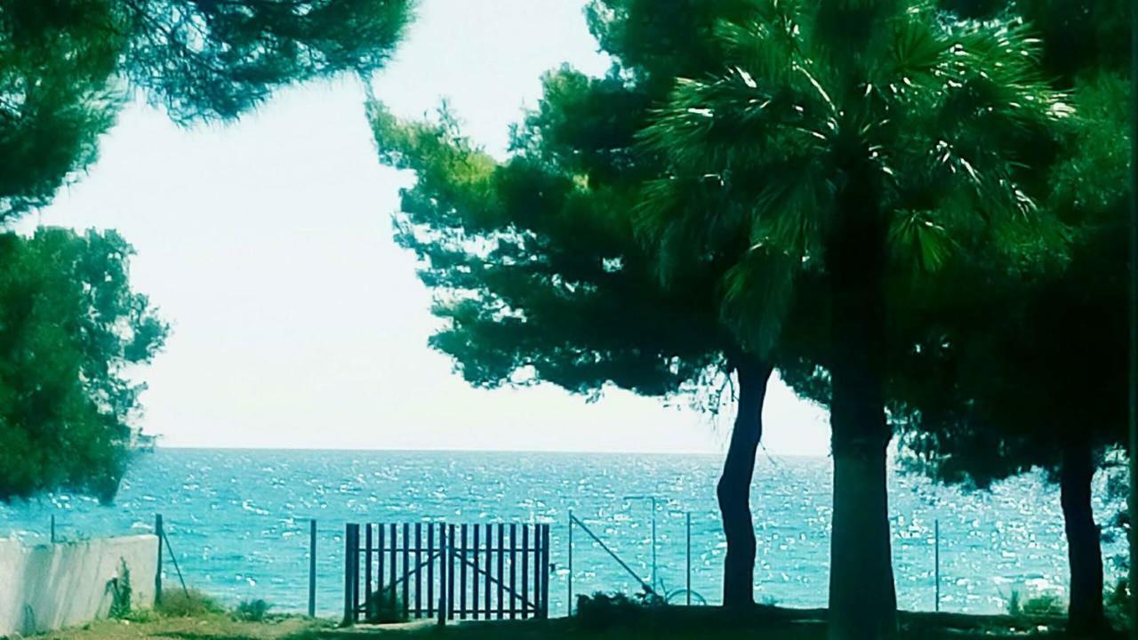 Seafront Villa Joan Nea Skioni Esterno foto