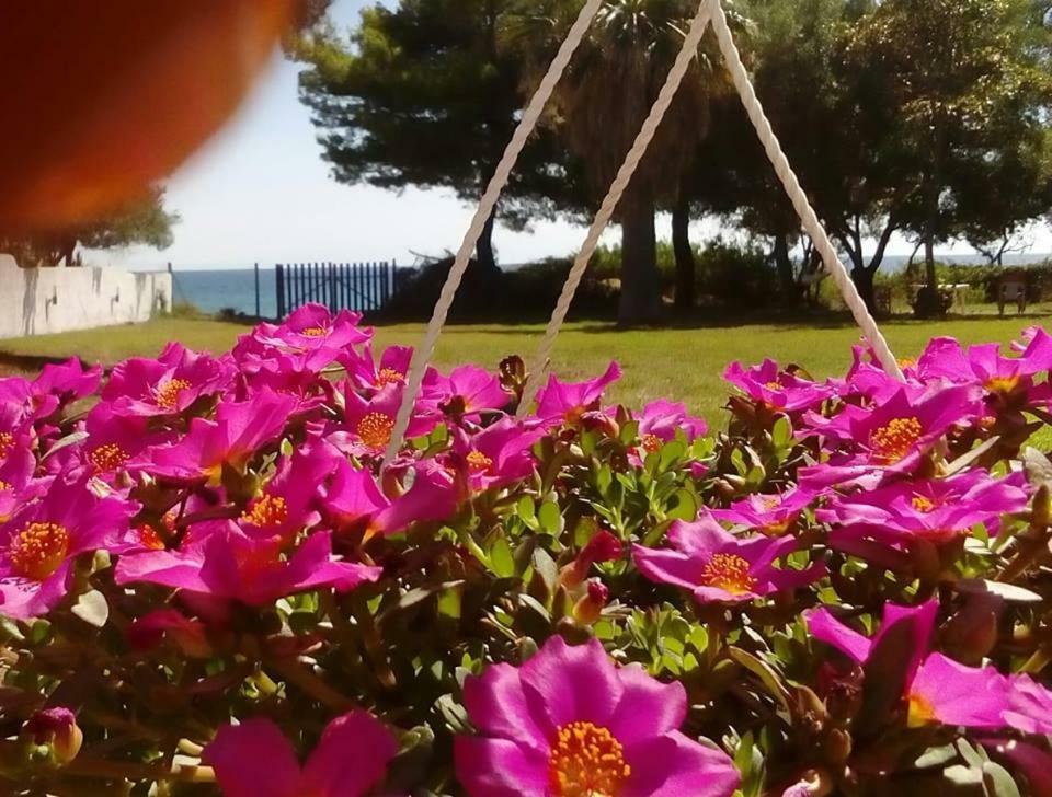 Seafront Villa Joan Nea Skioni Esterno foto